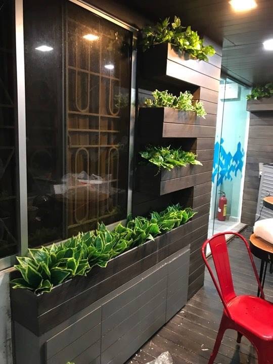 Cây giả trang trí vách tường
